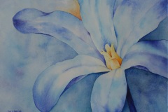 11 - Blauwe bloem