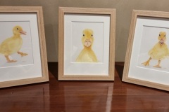 19 drie kleine eendjes