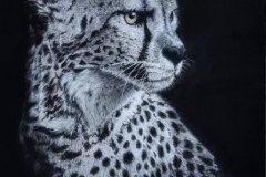 01 jaguar