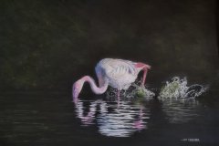 04 flamingo